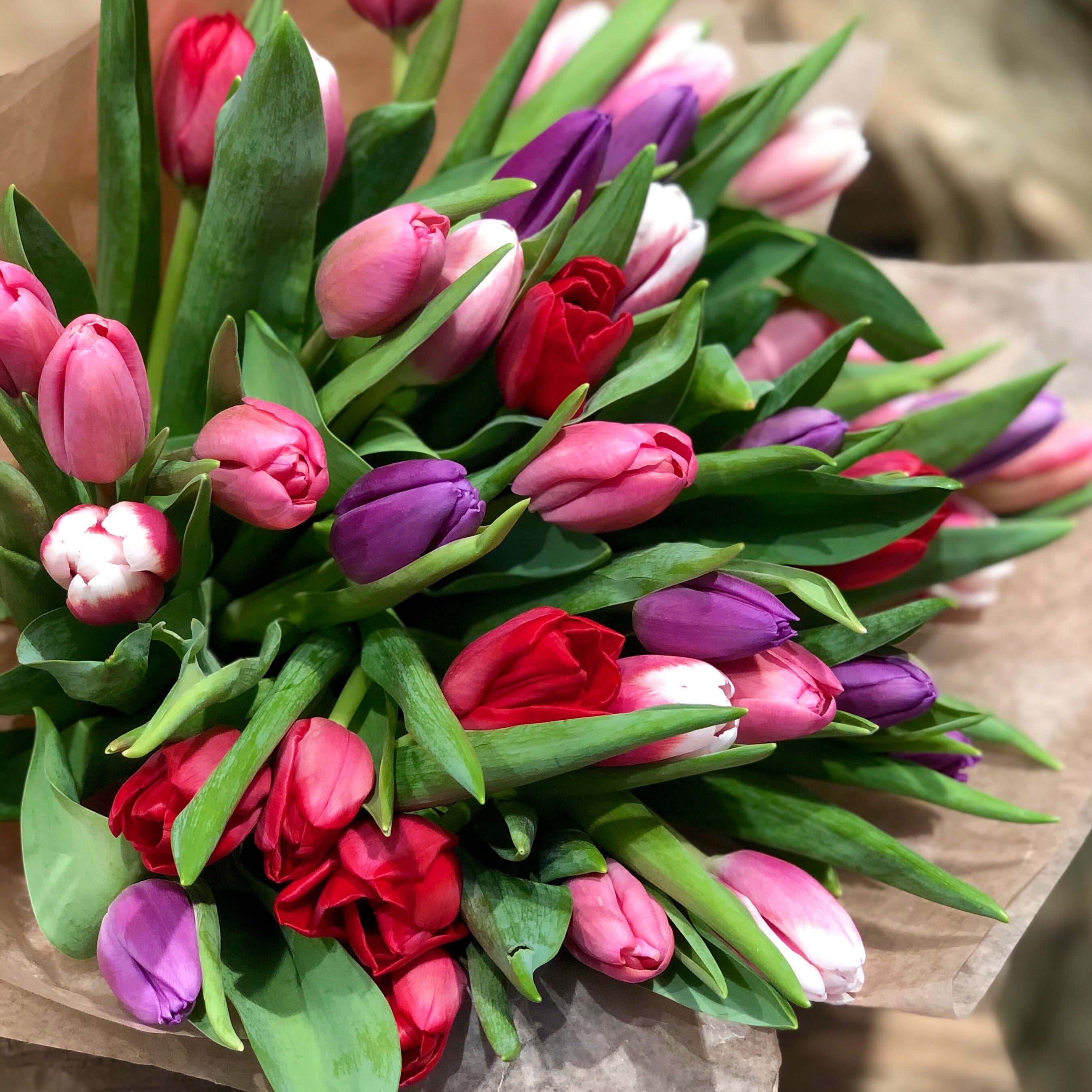 Romantic Mixed Tulips