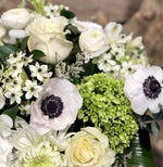Load image into Gallery viewer, Designer's Choice: Modern White
