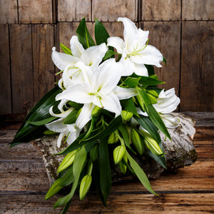 white lily florist london ky White Lilies – Fleuriste Centre Ville